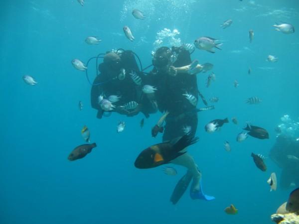 海之号角神秘海怪
